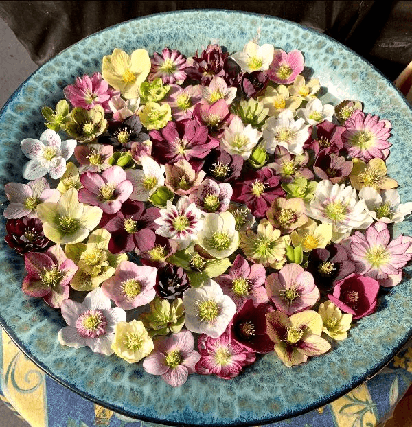 a bowl of flowers sitting on a table