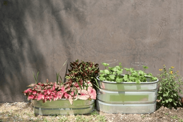 a group of three metal containers filled with plants